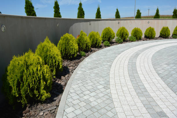 Professional Driveway Pavers in Ham Lake, MN